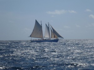 Bequia Tob Cays St Vincent 038a