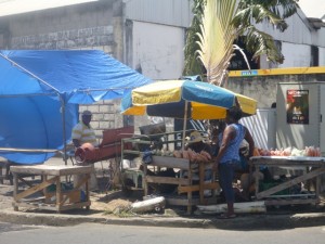Bequia Tob Cays St Vincent 075a