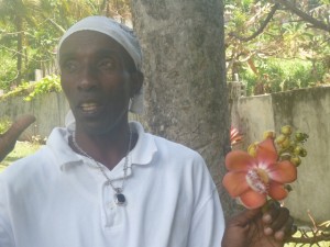 Bequia Tob Cays St Vincent 094a