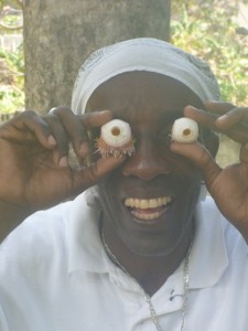 Bequia Tob Cays St Vincent 095a