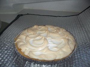 Trinidad 3 March 2013 015a