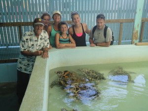 Bequia Old Hegg Turtles