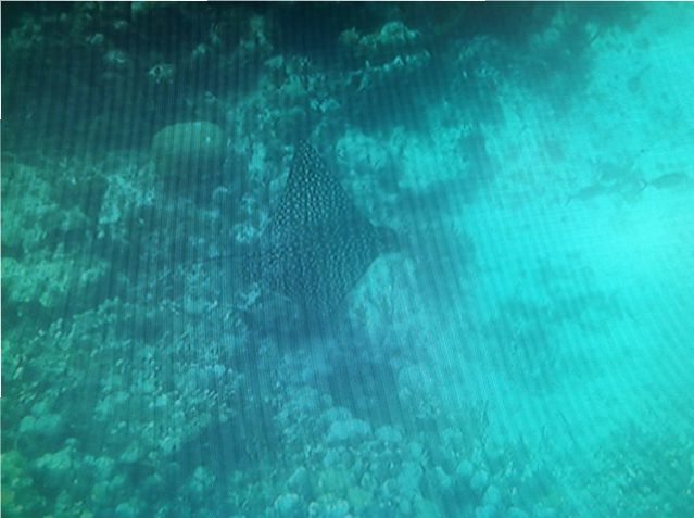 Sorry not real clear