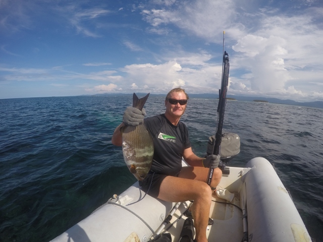 1 of a few different reef fish we sampled