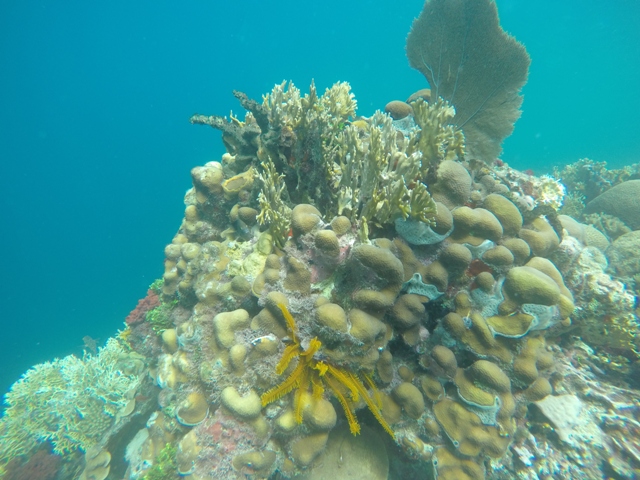 DCIM100GOPROGOPR0426.