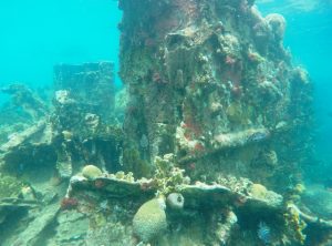 DCIM100GOPROGOPR0459.