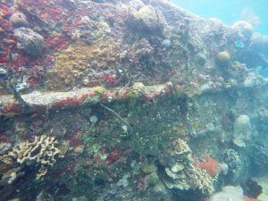 DCIM100GOPROGOPR0465.