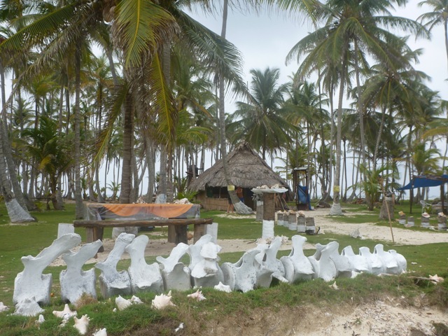 Thatched home/ restaurant on Isla Tortuga or BBQ Island