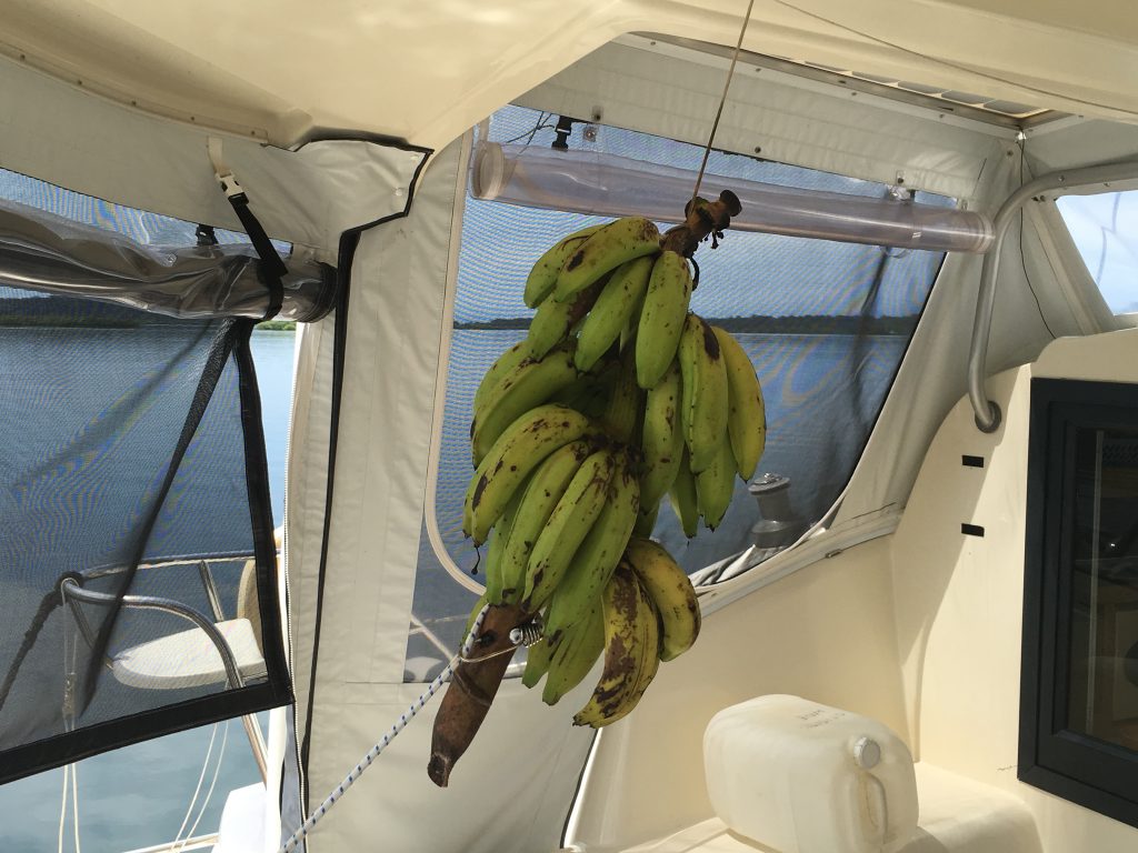 These didn't get exported - yummy! 