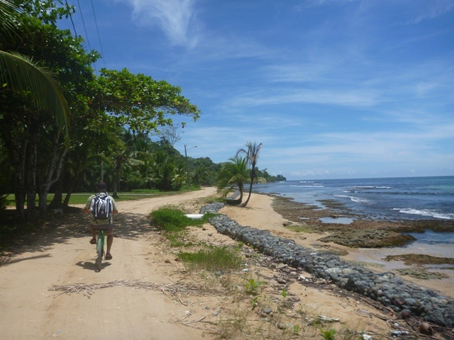 hired bikes $5 for 4 hours and they were perfect beach cruisers 