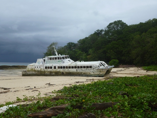 Found a Wrecked Ferry in one of the bay's