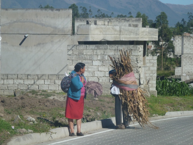 they are small people and carry everything on their backs.