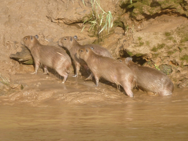 nice & clean now after a swim